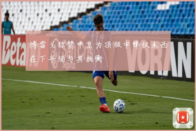 博雷戈称赞申京为顶级中锋仅米西在下半场与其抗衡